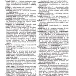 Dictionary page view of the words cha-cha*chamber of commerce
