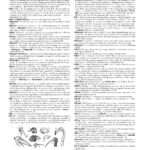 An inner page example of Merriam-Webster's Collegiate Dictionary, Twelfth Edition.